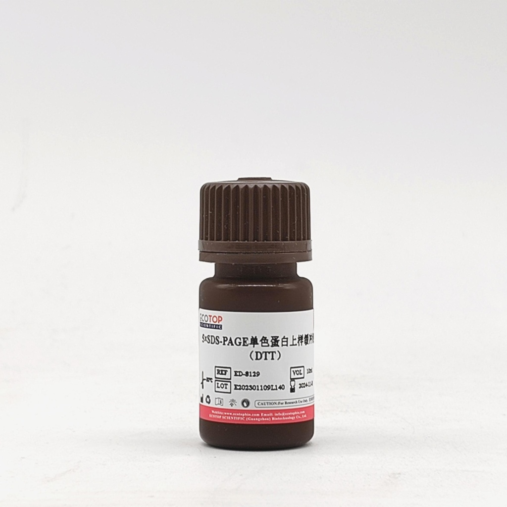 5×SDS-PAGE单色蛋白上样缓冲液（DTT）