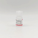 蛋白酶K溶液（20mg/mL）