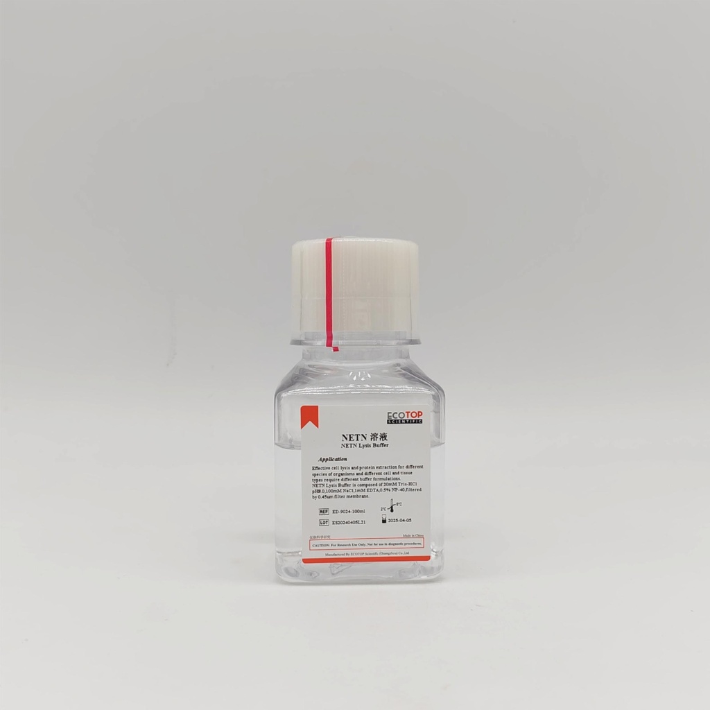NETN细胞裂解液 100ml