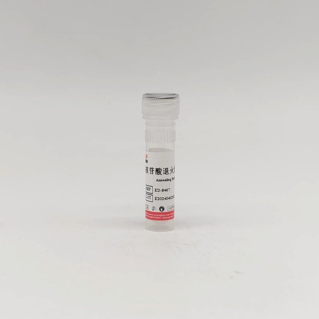 寡核苷酸退火缓冲液（Annealing Buffer,10×）