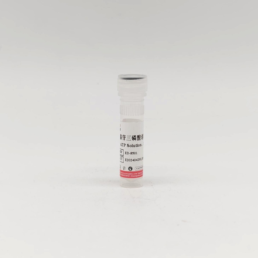 腺苷三磷酸溶液（ATP,100 mM）