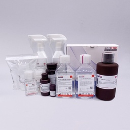3%BSA-PBS溶液（无菌） 500ml