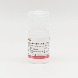 无DNA/RNA酶水（PCR级，无菌） 10ml