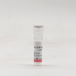 5×SDS-PAGE单色蛋白上样缓冲液（DTT）