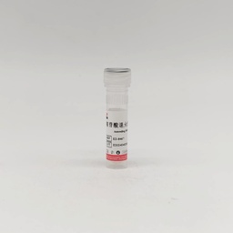 寡核苷酸退火缓冲液（Annealing Buffer,10×）