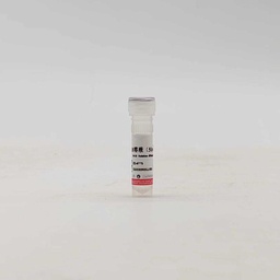 G418溶液(50mg/mL，无菌)
