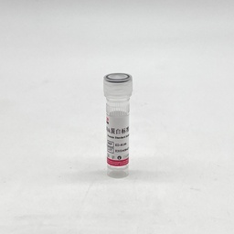 BSA蛋白标准品（2mg/ml BSA） 1ml